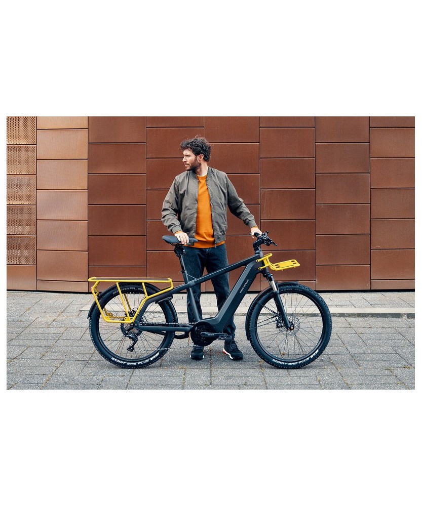 Riese multicharger sale