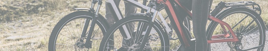 Vélo à assistance électrique Riese & Müller, gamme Charger, VTC, VTT