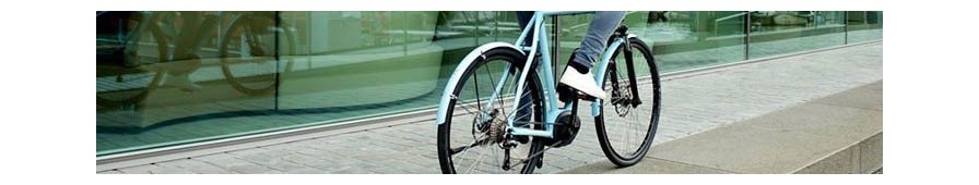 Urban agility|ROADSTER series by Riese Und Müller|easy to ride