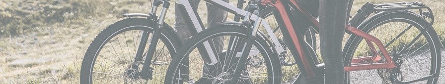 Hybrid ebikes for versatile uses, ATV pedelecs for all grounds