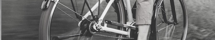 Vélo électrique|accessoires VAE|réparation vélo|Pedelec allemand