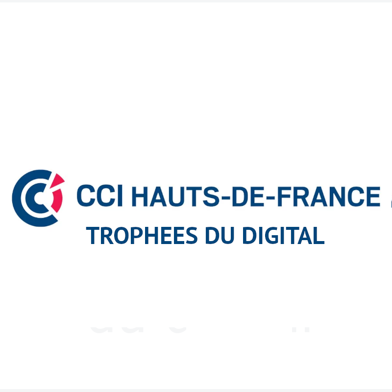 2R Aventure, lauréat des trophées du digital