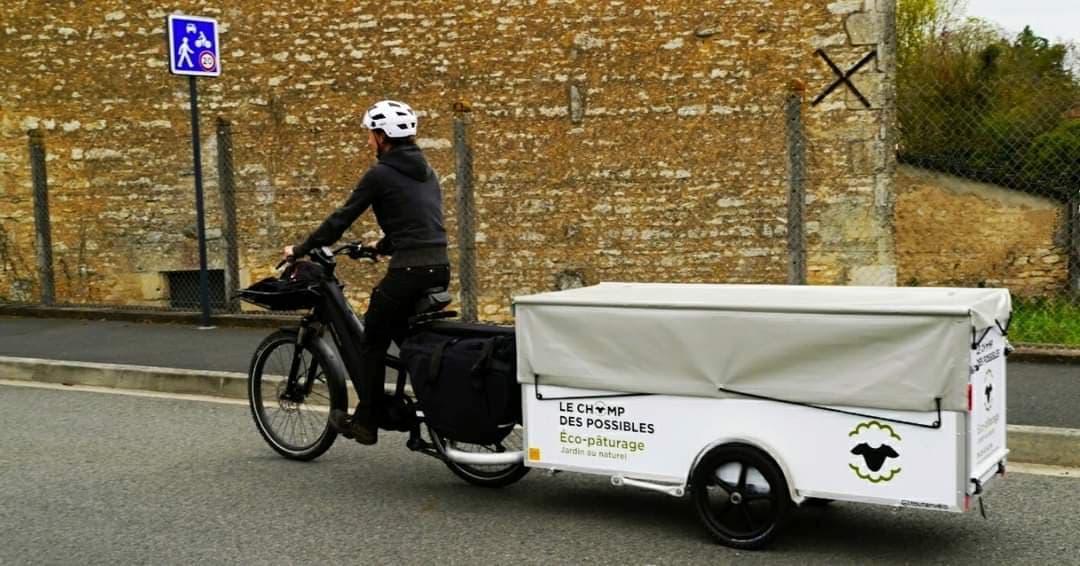 Comment bien choisir sa remorque vélo charge lourde