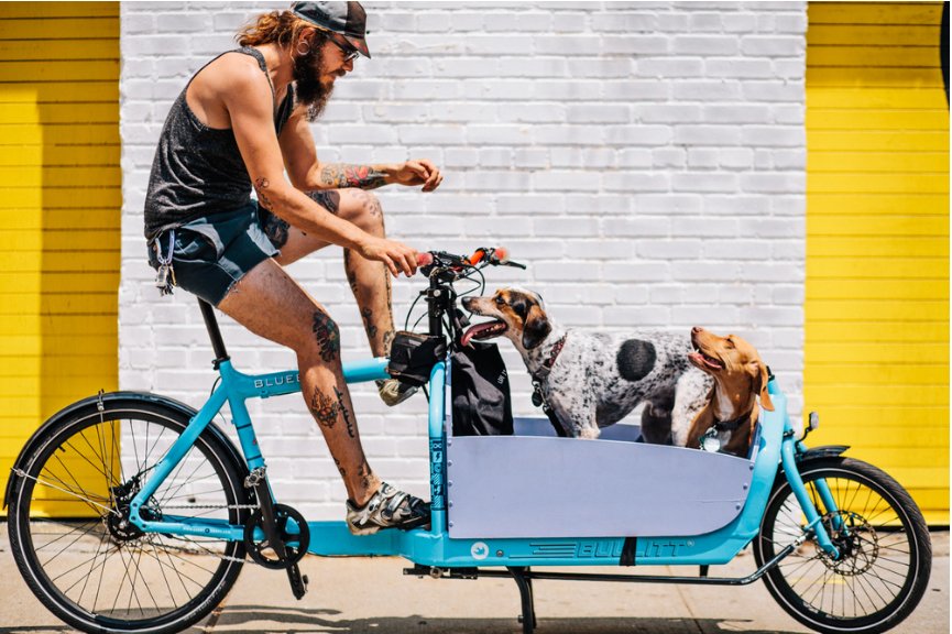 Sam Polcer - photos de cyclistes à NYC