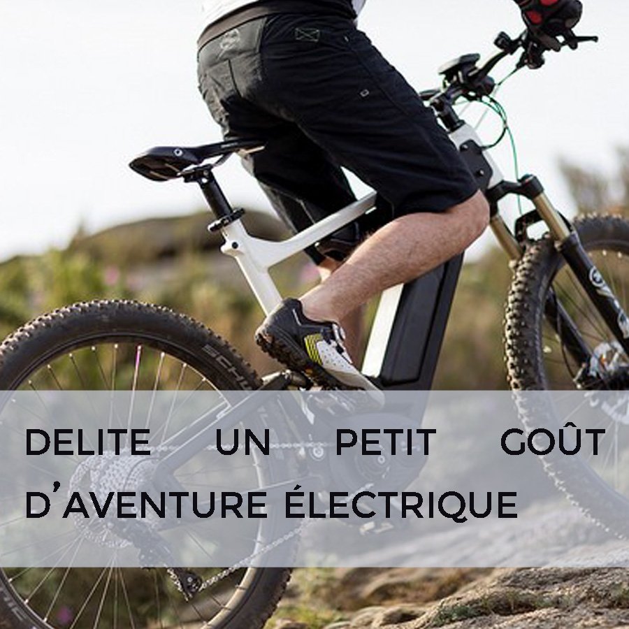Vélo électrique Delite