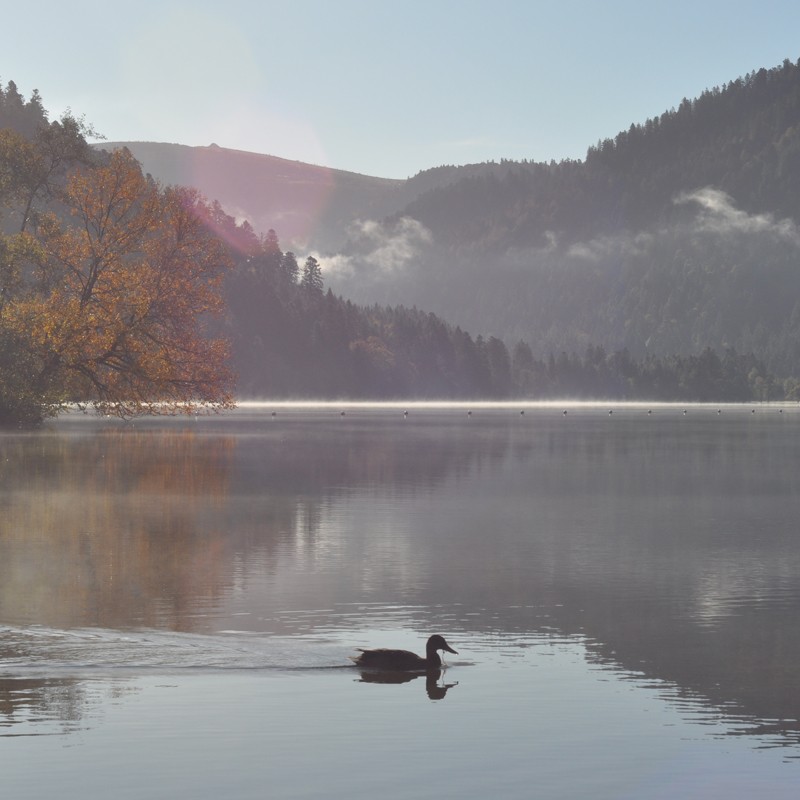 Les vosges, un week end de rando dans la brume