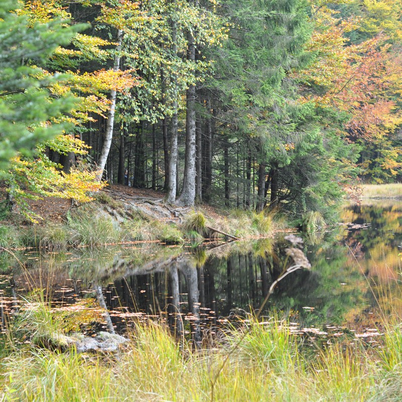 La randonnée des 5 lacs à gerardmer