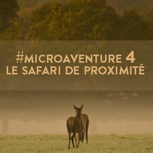 Microaventure safari de proximité