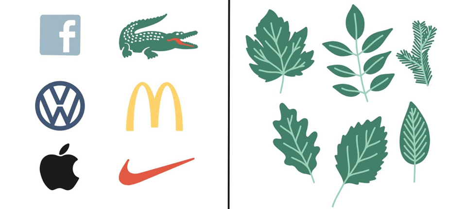 Logos marketing ou feuilles d'arbres
