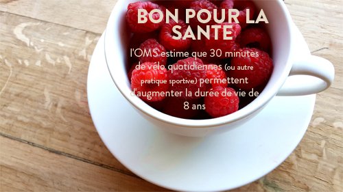 l'OMS estime que 30 minutes de vélo quotidiennes (ou autre pratique sportive) permettent d'augmenter la durée de vie de 8 ans