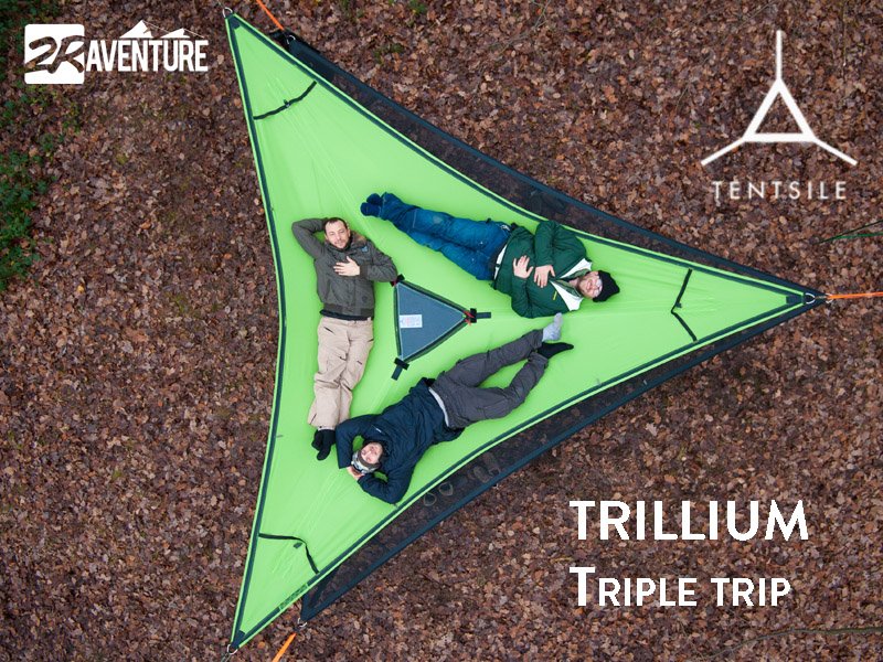 Triple Hammock trillium