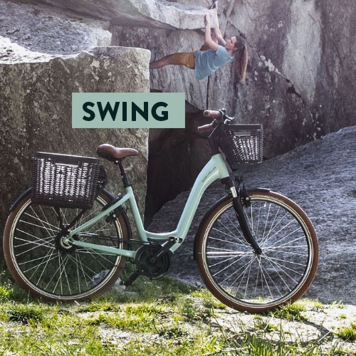 SWING Riese Muller