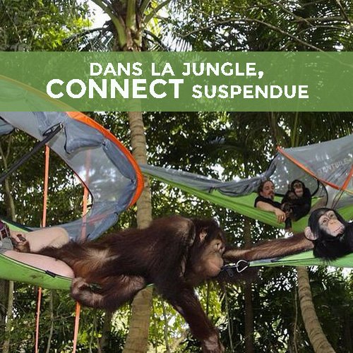 dormir dans la jungle - tente suspendue connect