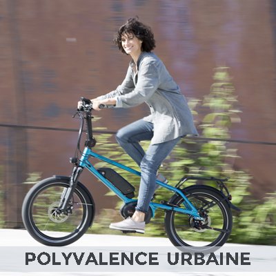 Le vélo électrique polyvalent