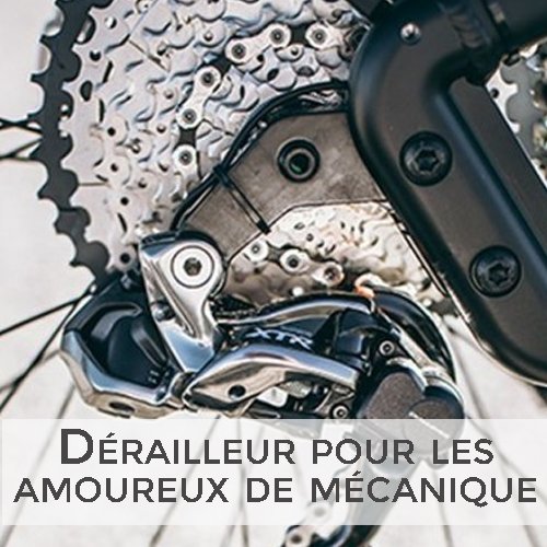 Shimano XTR - vélo à assistance électrique mécanique