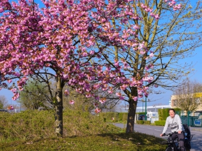 Comment bien choisir son antivol de vélo pour le vélotaf ?